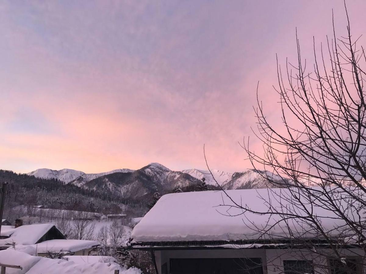 Apartment With A Stunning View Of The Alps - Wohnung Mit Atemberaubenden Blick Auf Die Alpen フィッシュバッハウ エクステリア 写真